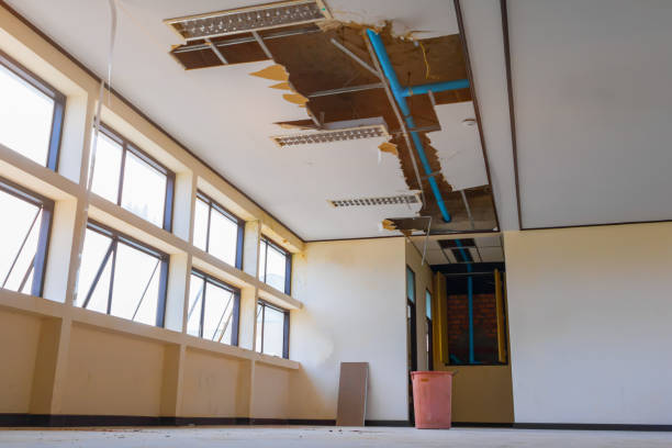 Best Commercial water damage restoration  in Constantine, MI