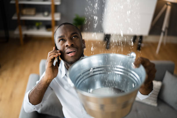 Best Flooded house restoration  in Constantine, MI