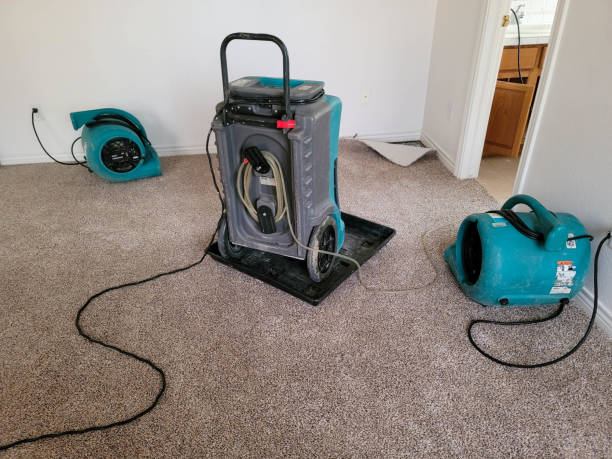 Best 24/7 water damage repair  in Constantine, MI