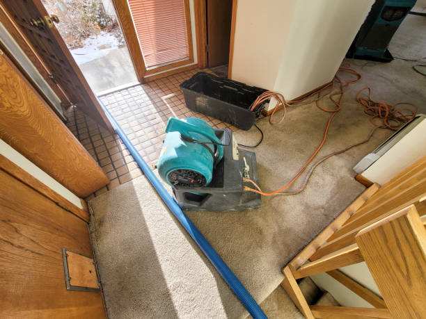 Best Flood restoration services  in Constantine, MI