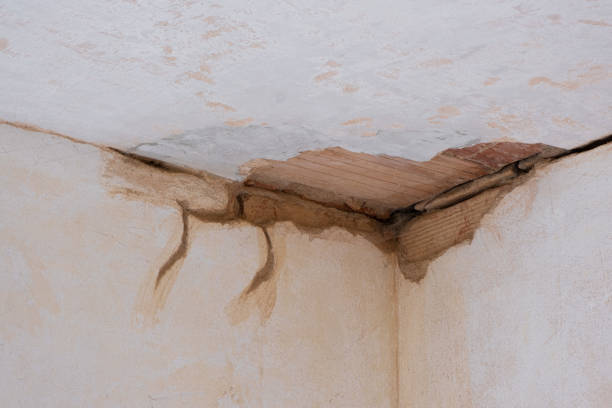 Best Flood damage cleanup  in Constantine, MI