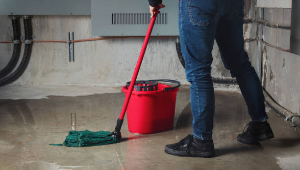 Best Carpet water damage restoration  in Constantine, MI