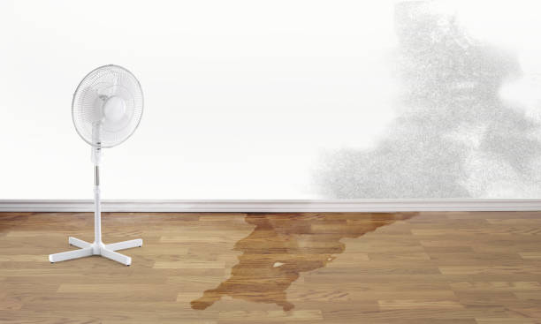Best Flood restoration services  in Constantine, MI