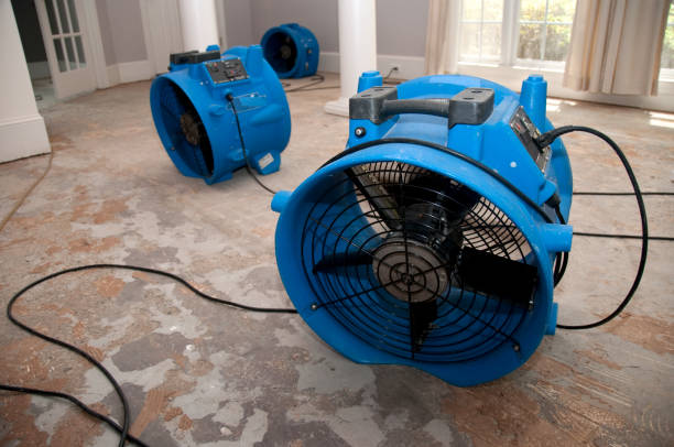 Best Water damage restoration experts  in Constantine, MI
