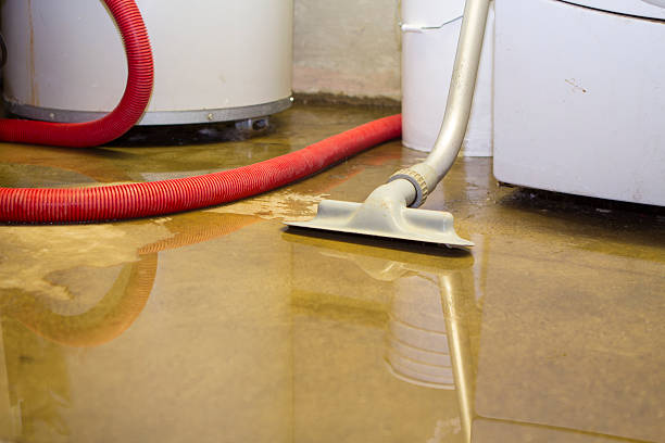 Best Sewage cleanup and water damage restoration  in Constantine, MI