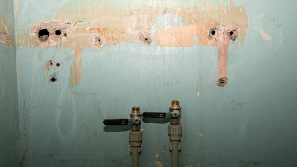 Best Water damage cleanup near me  in Constantine, MI