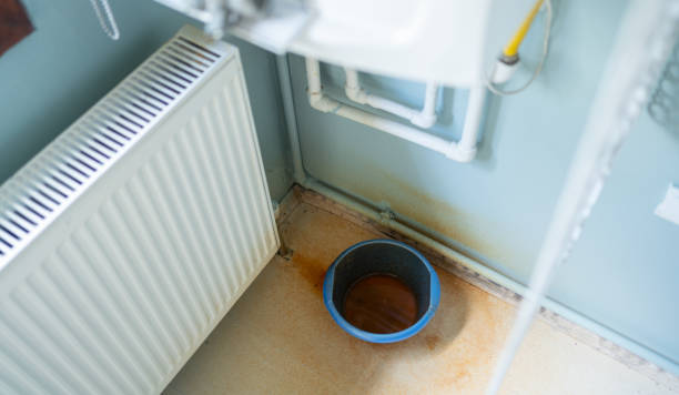 Best Residential water damage restoration  in Constantine, MI