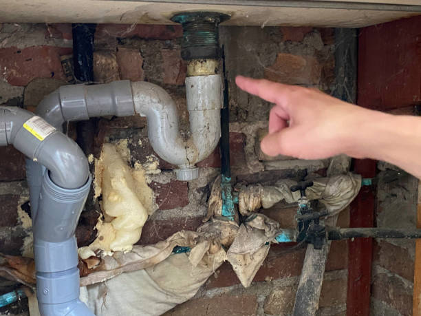  Constantine, MI Water damage restoration Pros