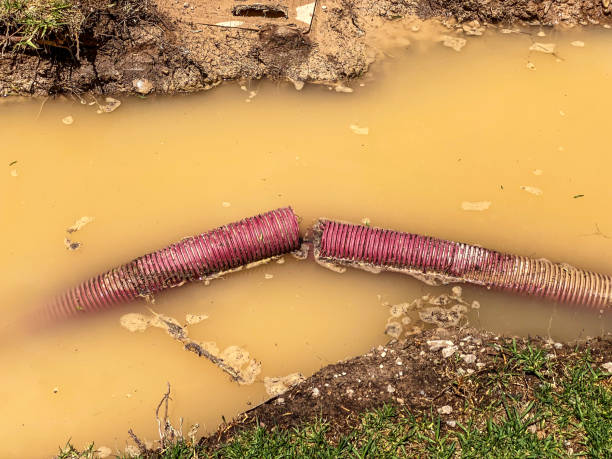 24/7 water damage repair in MI